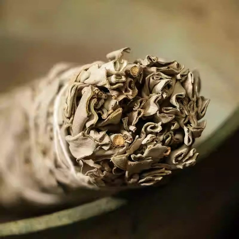 White Sage Smudge Sticks – For Cleansing Negativity